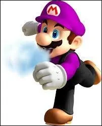 Comment se nomme cette transformation qui est jouable dans le jeu "Super Mario galaxy" ?