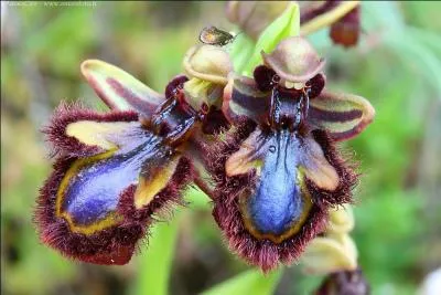 Eviter de tomber dedans vous permettra de trouver la réponse !