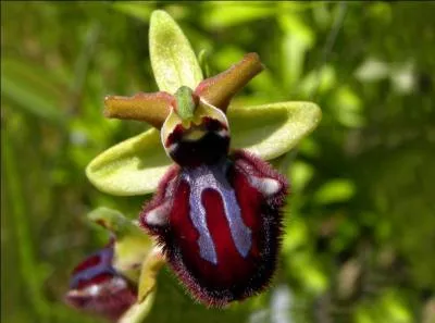 Sur cette dernière réponse, tout comme Dutronc, piquez-vous de le savoir !