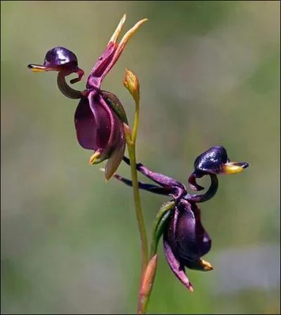 Trouvez la réponse sans fausse note, comme dans un fauteuil !