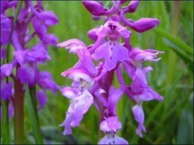 Boire un petit coup c'est agréable !