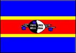 Pour terminer ce quiz, encore un pays d'Afrique. Il faut bien augmenter la difficulté. À quel pays appartient ce drapeau ?  