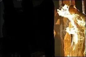 Ensuite, quel pharaon de la XXIVe dynastie, fit-il brûler sur un bûcher, sans doute en punition de la trahison de son père ?