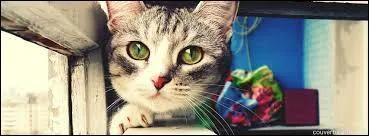 Qui a écrit : "Les amoureux des chats fervents et les savants austères aiment également, dans leur mûre saison les chats puissants et doux, orgueil de la maison qui comme eux sont frileux et comme eux sédentaires. "