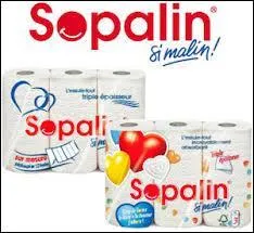 Que signifie à l'origine le mot sopalin ?