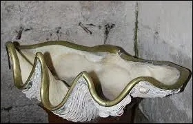 Quand on ne la trouve pas dans les bénitiers on en mange la chair des cuisses.