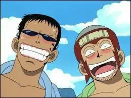 Avant d'intégrer l'équipage au Chapeau de paille, qui étaient les compagnons de Zoro ?