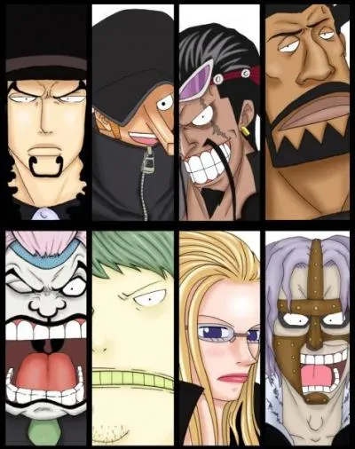 Parmi les membres du CP9, lequel Zoro a-t-il vaincu ?