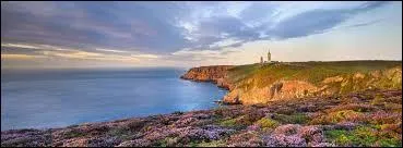 Cette magnifique pointe de grès rose située dans la Manche s'appelle ...