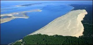 Ce site unique en Europe, situé près du bassin d'Arcachon est ...