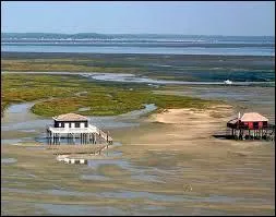 Quel est ce site, connu en particulier pour ses deux cabanes tchanquées ?