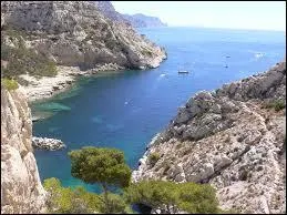 Situées entre Marseille et Cassis elles se nomment Callelongue, Sormiou ou encore En-Vau :