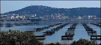Cet étang, situé dans le Languedoc, est, de par sa superficie, la plus grande étendue d'eau entièrement française après l'étang de Berre en Provence.