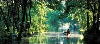 Ce marais, entre Pays de la Loire et Poitou-Charentes, et le cadre idéal pour de belles balade bucoliques.