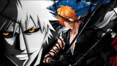 Qui a transpercé Ichigo lors d'une première rencontre afin de le transformer en Shinigami ?