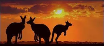 Lequel de ces climats ne trouve-t-on pas en Australie ?