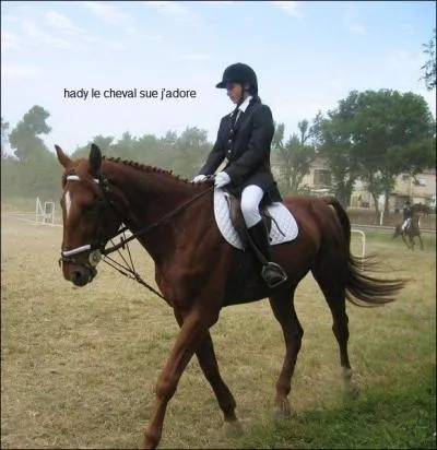 Quelle est cette discipline ?