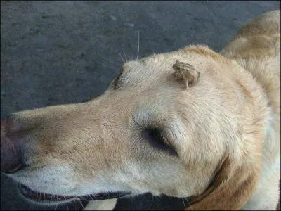 Pour trouver ce mot, il faudra vous y prendre comme un manche !