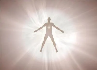 Quelles sont les cons&eacute;quences de la m&eacute;iose ?