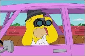 Que retrouve-t-on sur le visage d'Homer ?