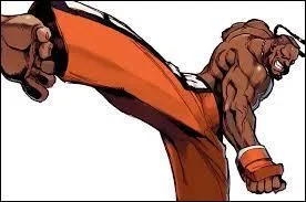 Dans "Street Fighter", quelle est la nationalité de Dee Jay ?