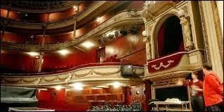 Y a-t-il des "loges" dans un opéra ?