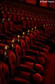 Qu'est-ce qui est aussi appelé "fauteuils d'orchestre" ?