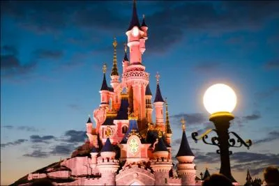 À quelle princesse appartient le château de Disneyland ?