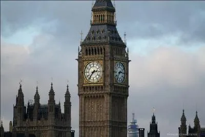 Lequel de ces Disney vous fait penser cette photo ?