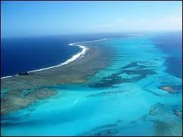 Comment se nomme ce r&eacute;cif corallien, le plus grand du monde, situ&eacute; au large de l'Australie ?