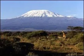 C'est le point culminant du continent africain, souvent point d'orgue de nombreux safaris photos.