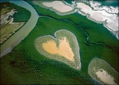 Cette photo de Yann Arthus Bertrand a fait le tour du monde. Mais comment ce coeur a-t-il &eacute;t&eacute; form&eacute; ?