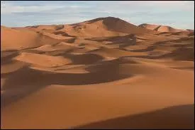 Ce d&eacute;sert est le plus vaste d&eacute;sert chaud du monde.