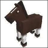 Quel est cet animal ?