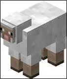 Quel est cet animal ?