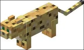 Quel est cet animal ?