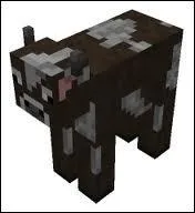 Quel est cet animal ?