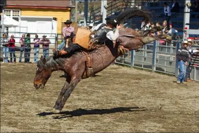 Qu'est-ce que le rodéo ?