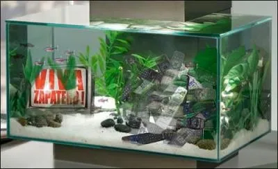 Curiosité - Comme les morts sont toujours de braves types, dixit Brassens, certains hurluberlus m'ont rendu un hommage parfois bizarre... mais non déplaisant... À vous de voir !