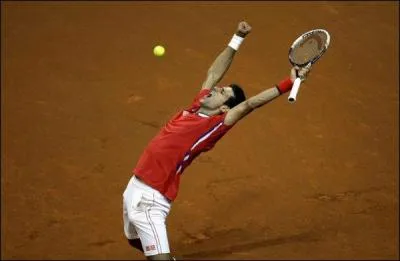Quel est ce grand joueur de tennis serbe ?