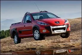 Quel constructeur a conçu ce pick-up ?