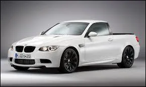 Quel constructeur a conçu ce pick-up ?