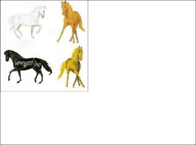 Quelles sont les robes principales ?