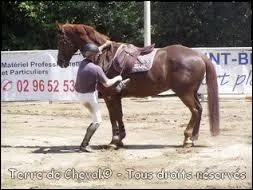Que dois-je connaître d'autre pour passer mon galop :