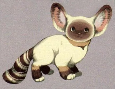 Quelle(s) est(sont) la(les) particularité(s) de cet adorable chaton de Célesbourg ?