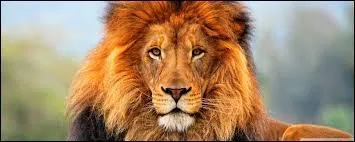 Quel constructeur automobile européen est également connu sous l'appellation de "la marque au lion" ?