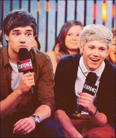 Quel est le nom de cette bromance ?