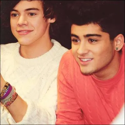 Quel est le nom de cette bromance ?