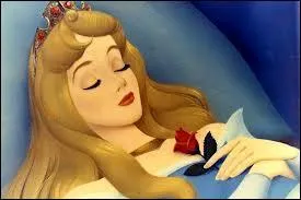 Qui est cette princesse ?