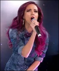 Les Little Mix son plus connues sous le nom de :